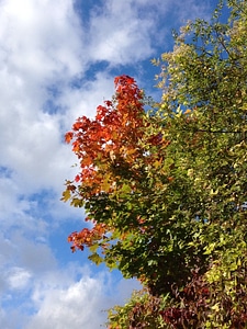 Colorful colored sky