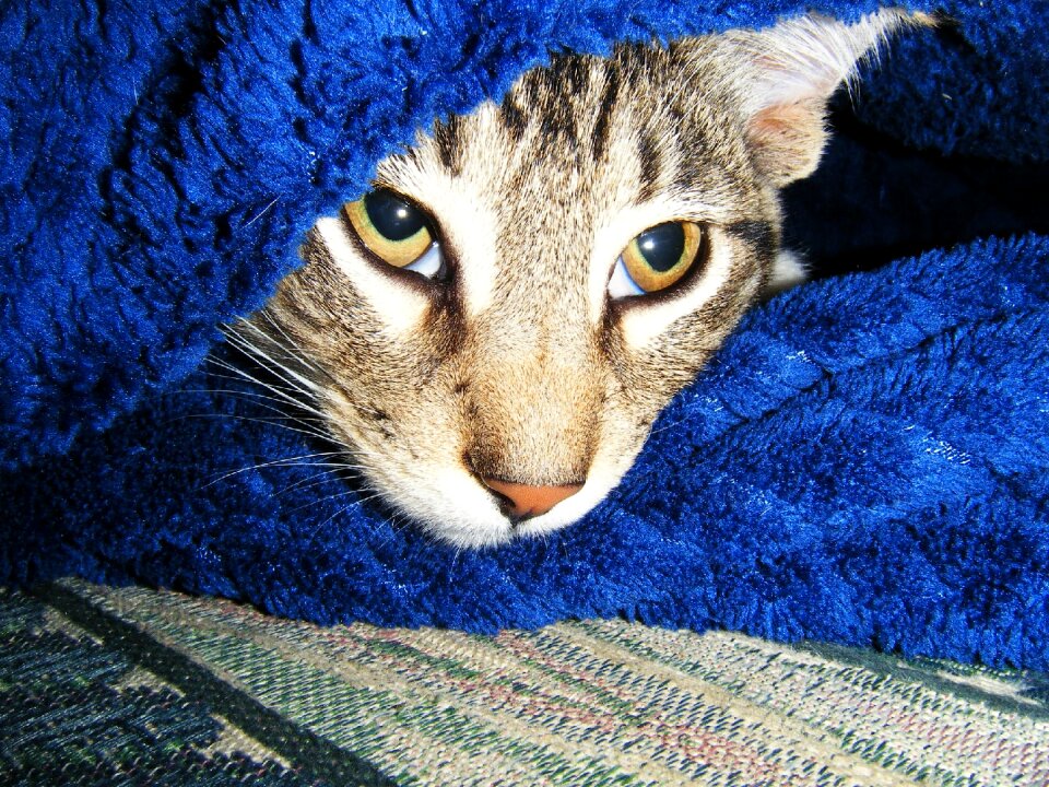 Blanket blue stripes