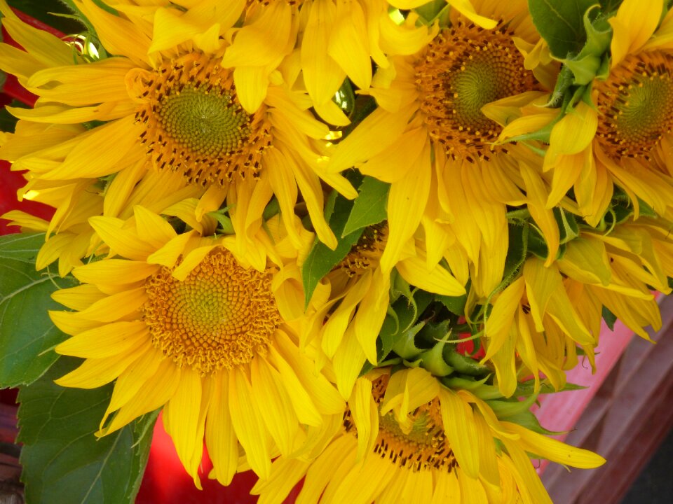 Market standl bouquet