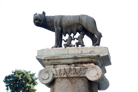 Wolf founder of the city of rome capitoline wolf photo