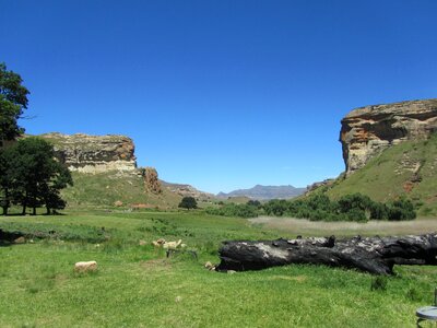 Landscape environment scenic