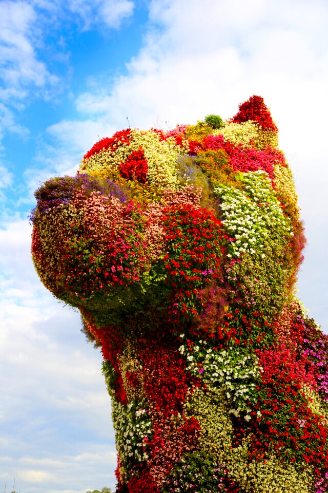 Dog statue flowers