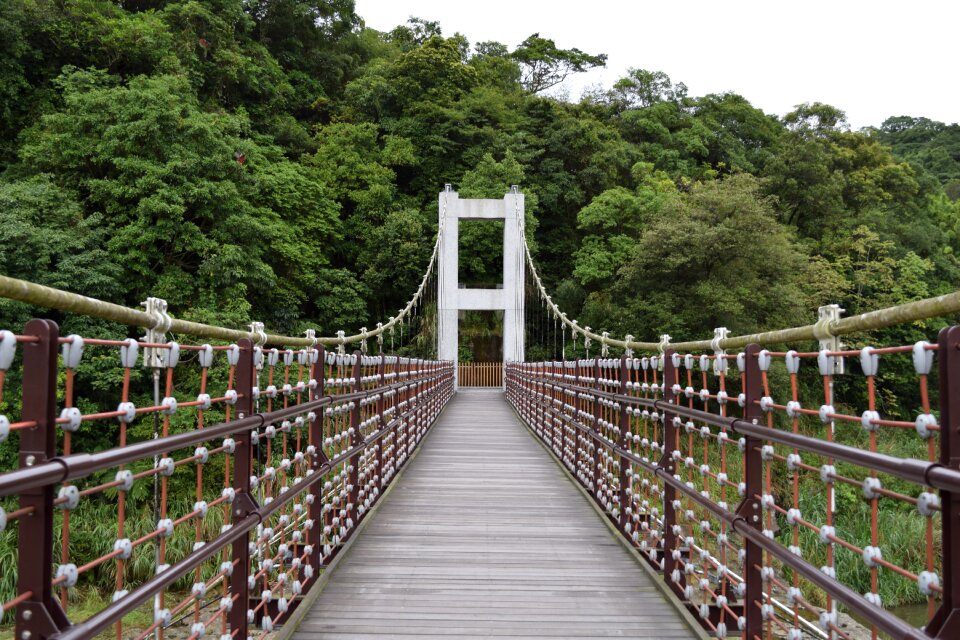 Bridge symmetry Free photos