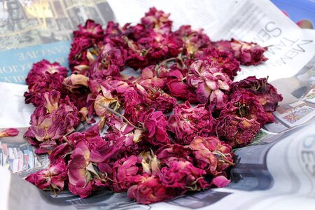 Floral flower