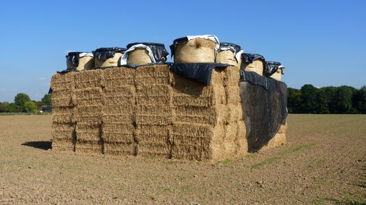 Straw bales round bales autumn