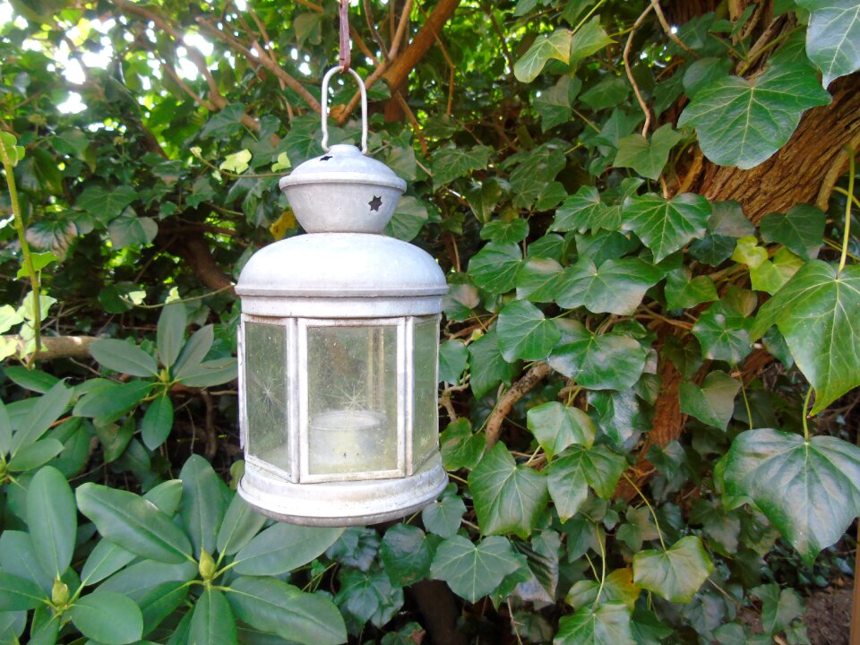 Hanging lamp garden lamp garden photo