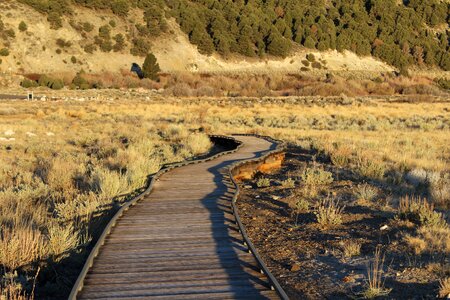 Outdoor path park