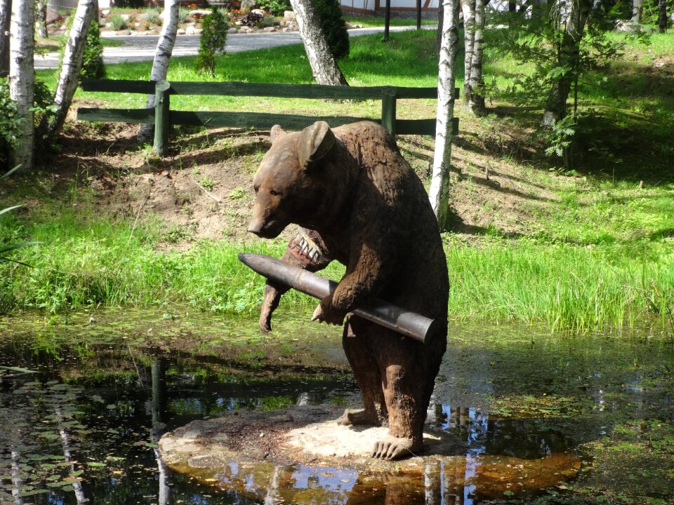 Szymbark bear the war
