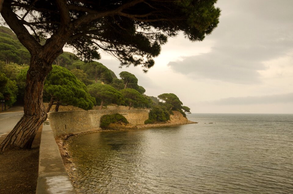 Coastal road nature mediterranean
