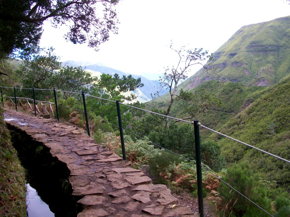 Madeira levada hiking