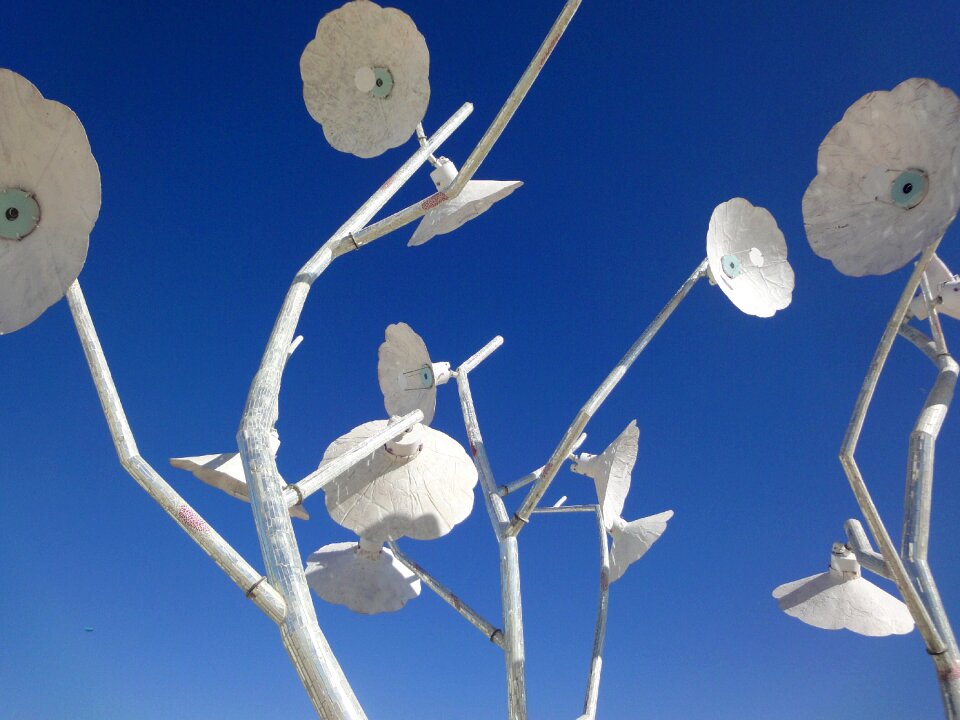 Burning man flowers blue sky