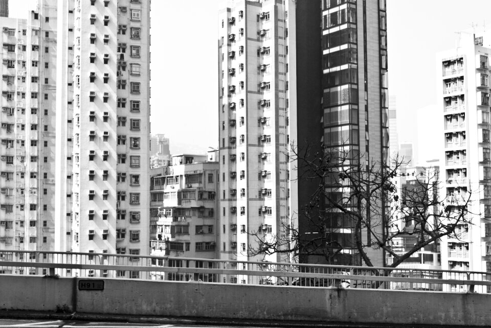 China roof scaffolding