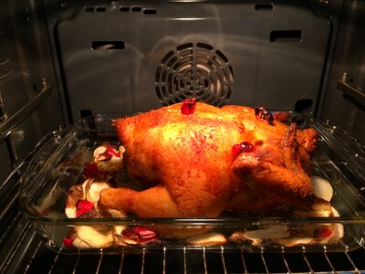 Poultry meat food oven