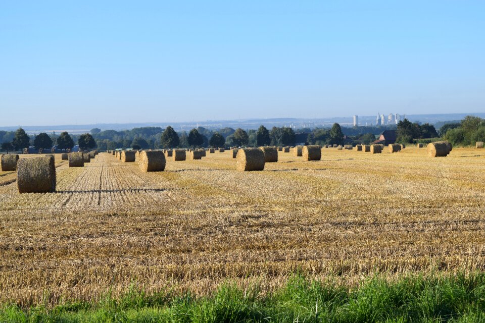 Agriculture field crops cement plant