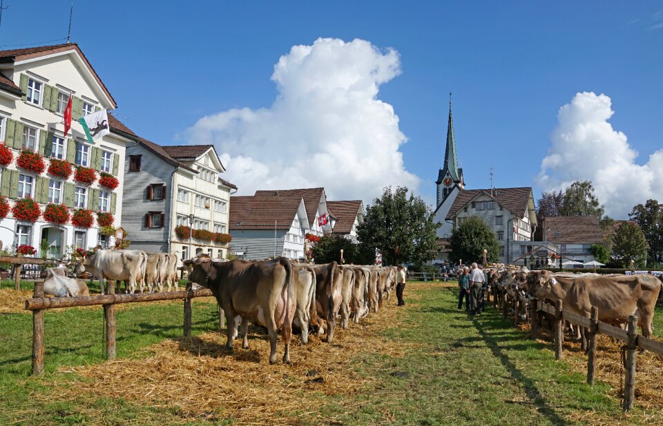 Appenzell stone village