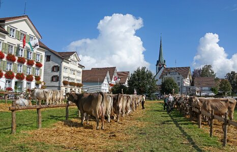 Appenzell stone village