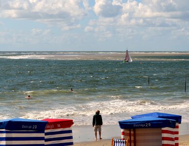 Clubs sail swim