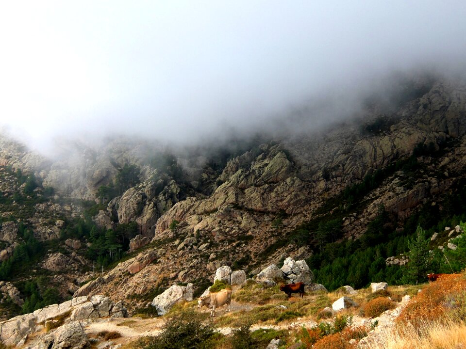 Majestic clouds landscape