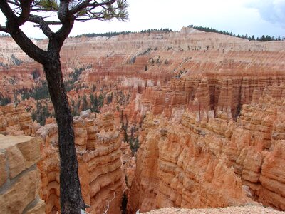 Usa national park bryce canyon