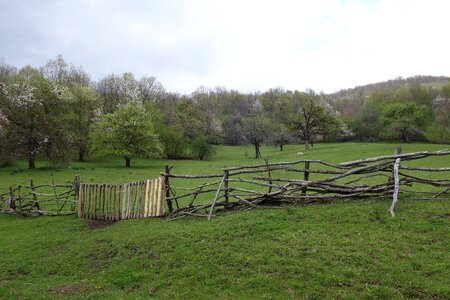 Natur backwoods countryside photo