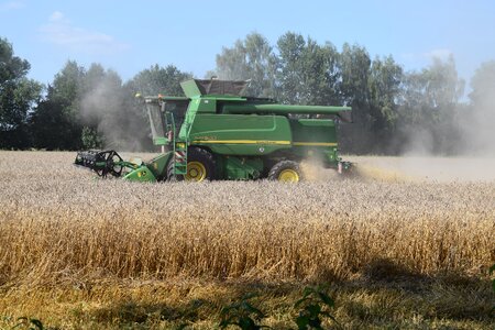 Wheat agriculture cornfield photo