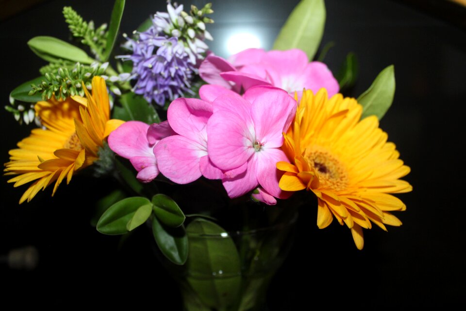 Garden flowers nature bunch of flowers