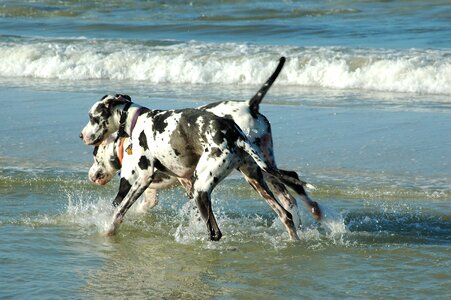 Surf ocean water photo