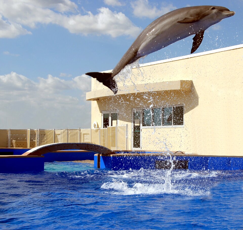 Aquarium ocean water