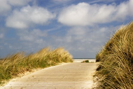 North sea beach dunes