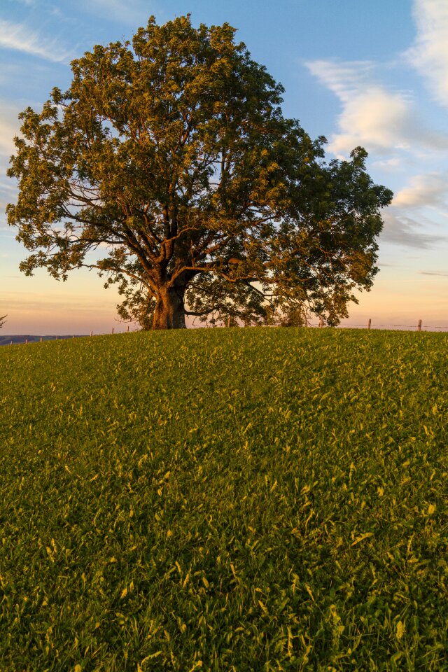 Abendstimmung evening sky landscape