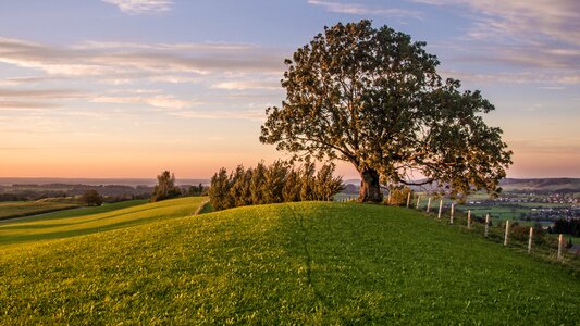 Wide rural fence photo