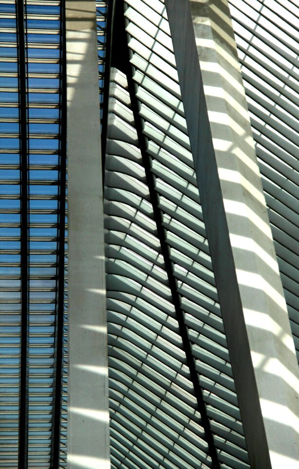 Train station cork-guillemins calatrava