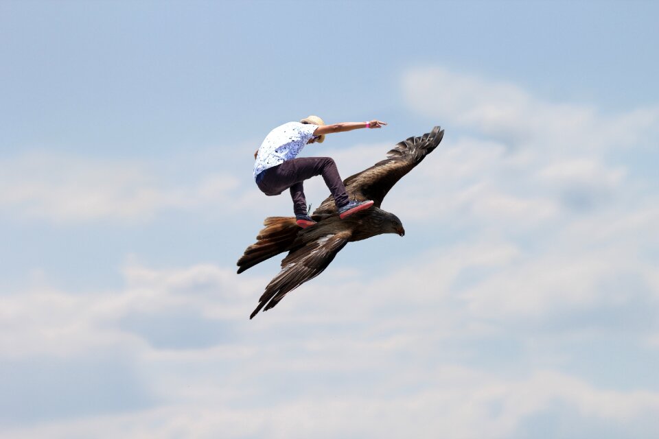 Fly e wild