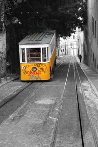 Splashes of color black and white tram