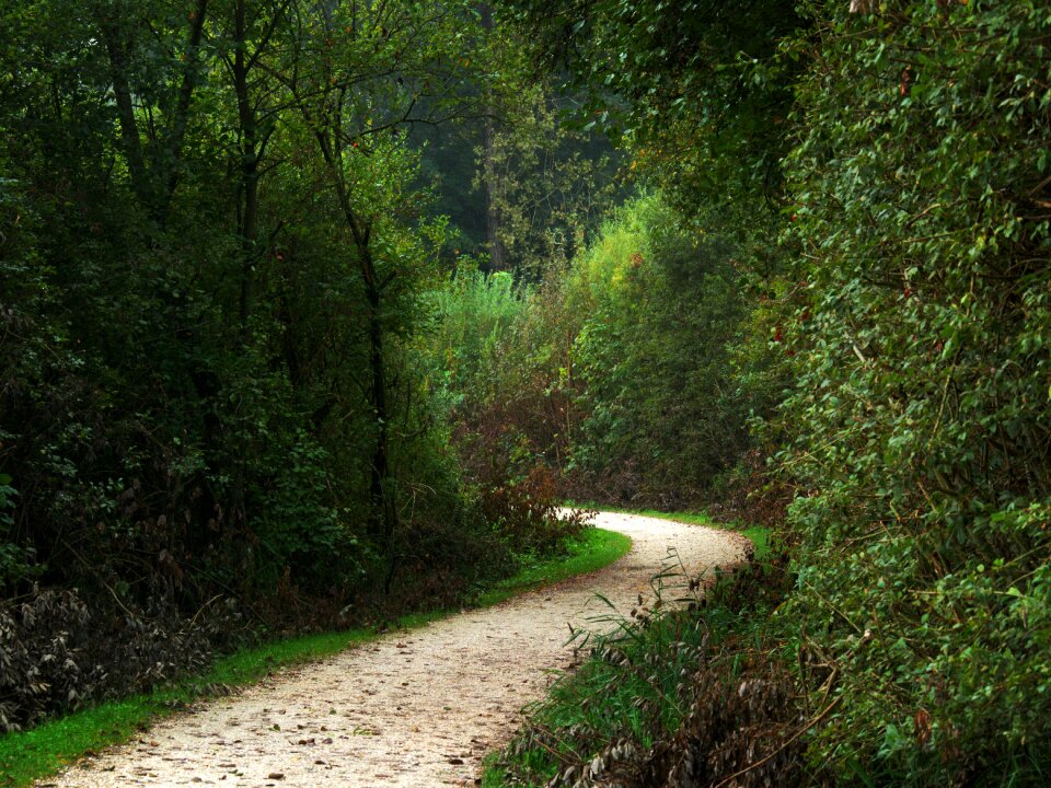 Nature away mystical