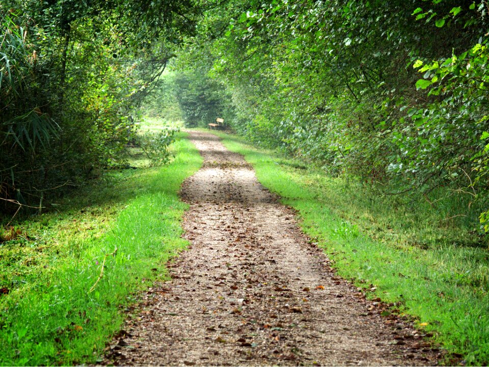 Nature away mystical