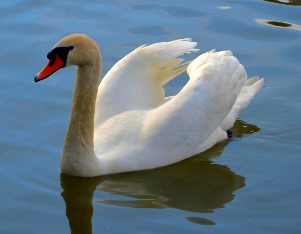 Water pond lake