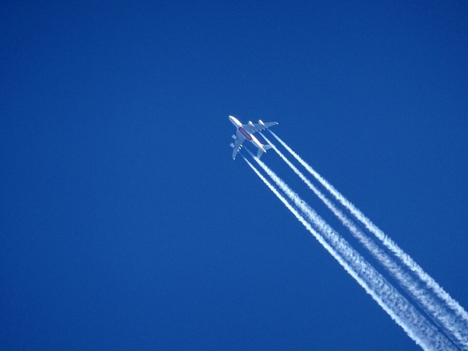 Blue emirates airline