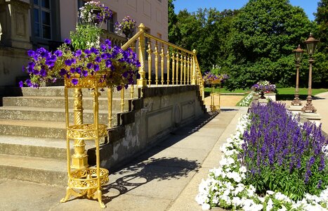 Castle stairs gradually photo