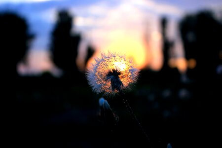 Sunset dark silhouette photo