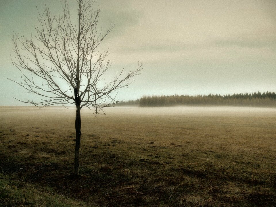 Nature landscape field