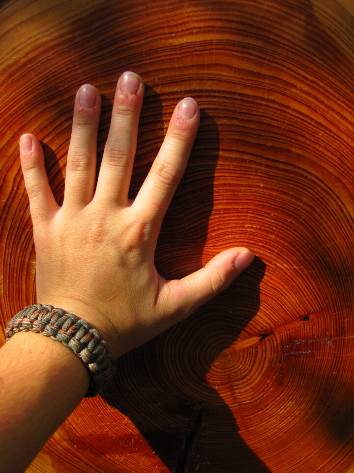 Annual rings finger nature
