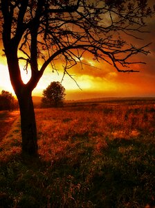 West nature landscape