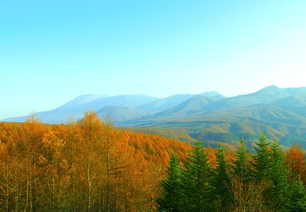 Torii pass autumnal leaves natural