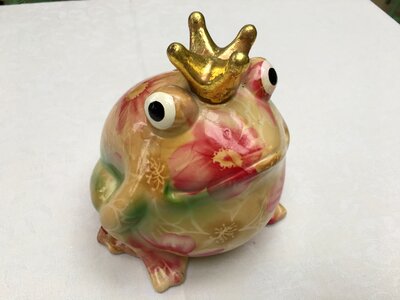Magic toad fairytale photo