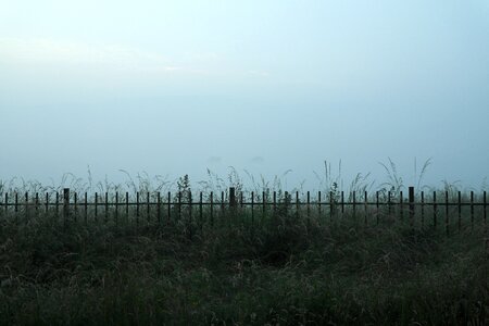 Mist grass fence photo