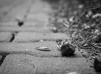Path black and white travel photo