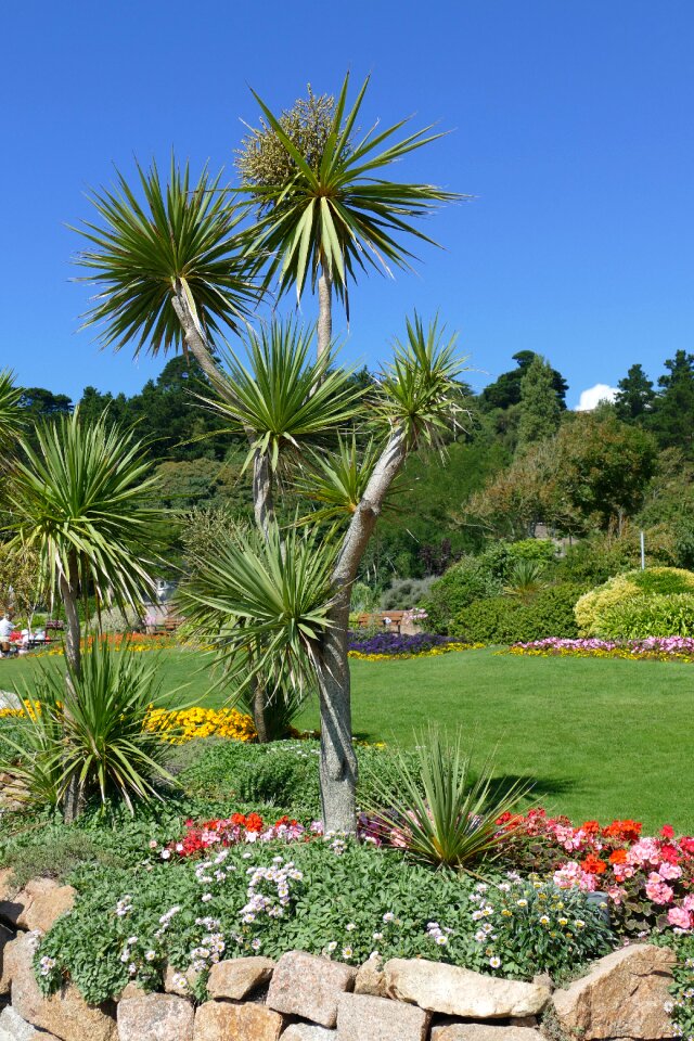 United kingdom island of jersey island