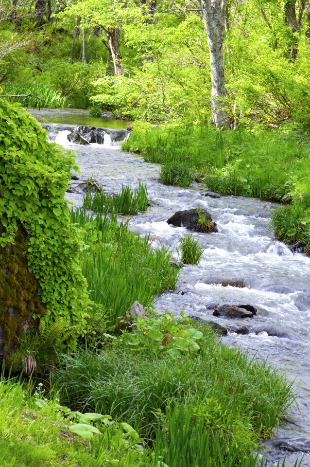 Tohoku landscape urabandai