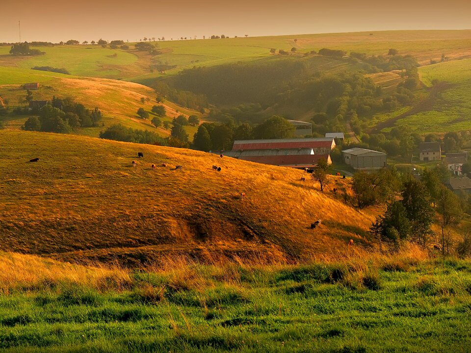 Valley peace meadow